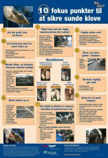 Poster 10 fokus punkter til at sikre sunde klove