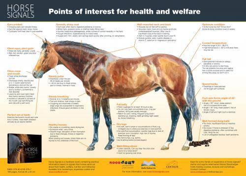 Horse Signals poster - Health and welfare - US edition (PHORSEFR) | Roodbont Publishers Horse Signals poster - Health and welfare - US edition (PHORSEFR) | Roodbont Publishers