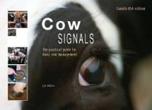Cow Signals 