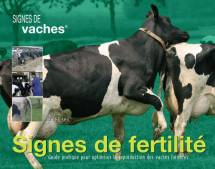 Signes de fertilité