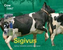 Sigivus