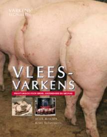 Vleesvarkens