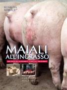 Maiali all'ingrasso