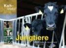 Jungtiere