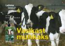 Vasikast mullikaks