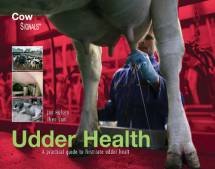 Udder Health