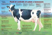 Punti di controllo di salute e benessere