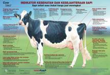 INDIKATOR KESEHATAN DAN KESEJAHTERAAN SAPI