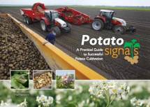 Potato Signals