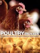 Poultry Signals