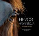 Hevoshavaintoja