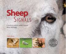 Sheep Signals - Global edition