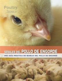 Señales del Pollo de Engorde