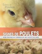 Signes de Poulets