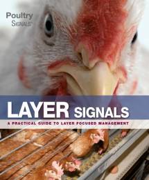 Layer Signals