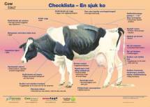 Poster Cow Signals - Sickness and distress checkpoints - Swedish edition