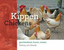Kippen - Chickens