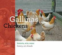Gallinas-Chickens