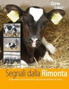 Segnali dalla Rimonta