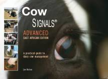 Cow Signals Advanced