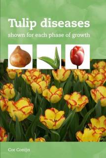 Tulip Diseases