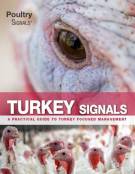 Turkey Signals