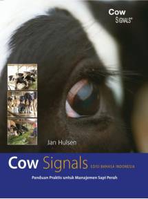 Cow Signals - Indonesian edition