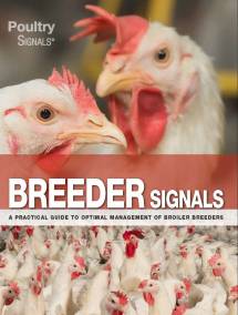 Breeder Signals