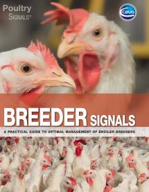 Breeder Signals Ceva - online book