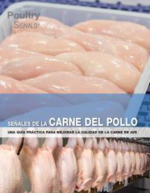 Señales de la carne del pollo