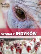 SYGNAŁY INDYKÓW