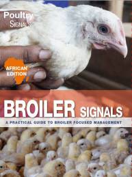 Broiler Signals African Edition (Editie Engels)