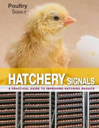 Hatchery Signals - English edition