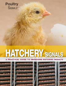 Hatchery Signals