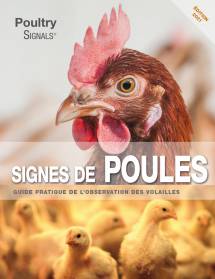 Signes de poules