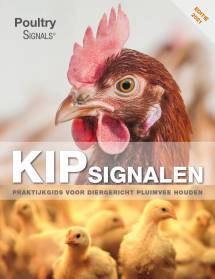 Kipsignalen