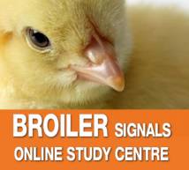Broiler Signals Essentials e-learning