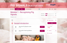 Pig Signals - E-learning