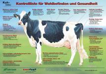 Poster Cow Signals - Healthy Cow - German edition