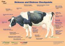 Poster Cow Signals - Sickness and distress checkpoints - Online