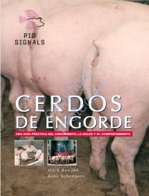 Cerdos de engorde