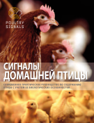 сигналы домашней птицы