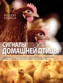 сигналы домашней птицы