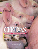 Cerdas