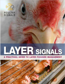 Layer Signals