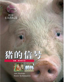 猪的信号