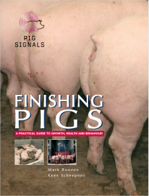 Finishing pigs