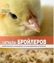СИГНАЛЫ БРОЙЛЕРОВ