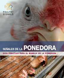 Señales de la Ponedora