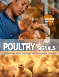 Poultry Signals African Edition